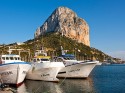 Tour in the port of Calpe. Get to know the fishermen and the fish market in Calpe