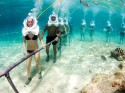 Sea Trek in Benidorm. Hiking on the seabed!