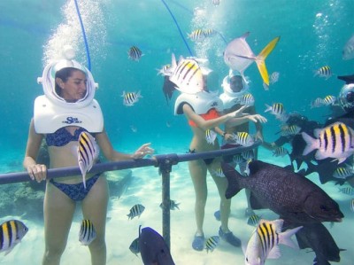 Sea Trek Altea