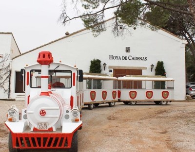 Vicente Gandia Hoya de Cadenas Visit, Wine Tasting, Train Tour