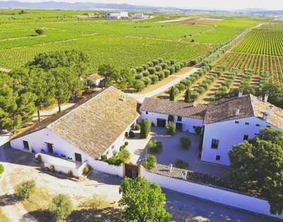 Vicente Gandia Hoya de Cadenas Visit Wine Tasting Vineyards