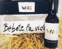 Cata de Cervezas en Valencia con Tapa + Tour en Fábrica de Cervezas WAI con comida incluida