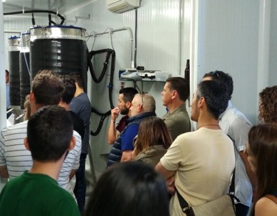 Visit Antiga Craft Beer Tasting
