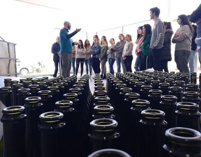 Visit to La Socarrada Beer Factory + Tasting of 3 Beers