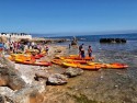 Paddle Surf Tour to Cova Tallada for 2 people