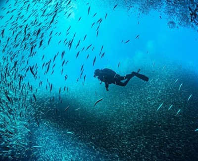 Scuba diving in Torrevieja
