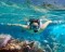 Snorkel a la Isla de San Andrés, la vida en el fondo del mar