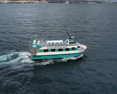 Avistamiento de delfines barco transparente