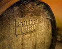 Visita a Bodegas Andrade con Cata de Vinos y Tapas