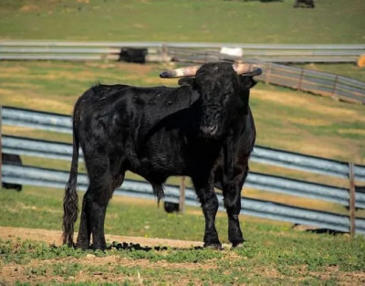 Tour en 4x4 y Visita a...