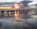 Ruta a Caballo al Atardecer en las Playas de Doñana
