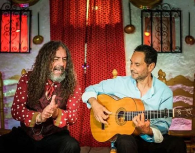 Flamenco Show and Visit to...