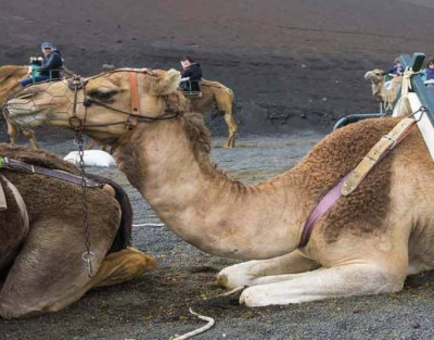 Visita al Parque Nacional...