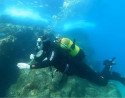 Scuba Diving Baptism in Costa Teguise (Lanzarote)