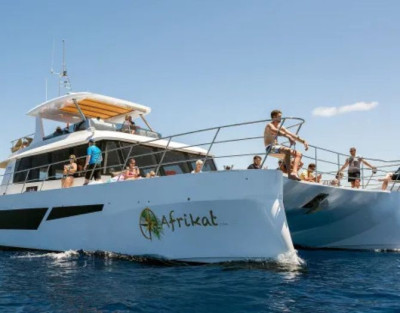 Excursión en Catamarán por...