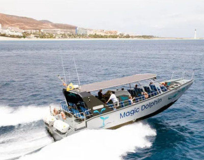 Avistamiento de Ballenas y...