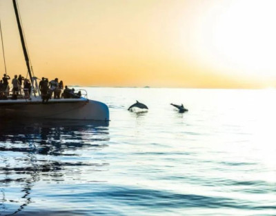 Excursión al Amanecer y...