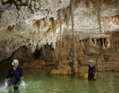 Espeleología Marina en...