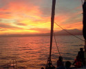 Sunset Catamaran Tour in Estepona with Cava