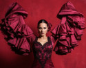 Espectáculo de flamenco en Sevilla