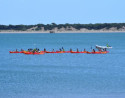Kayak tour and boat trip through Doñana from Sanlúcar
