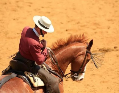 Visita a la Ganadería...