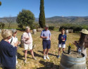 Visita a Bodega Cortijo el Cura + Cata de Vino + Aperitivo de La Alpujarra