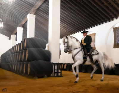 Wine Tasting Tour at Álvaro...