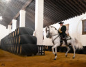 Visita con cata de vino en Bodegas Álvaro Domecq