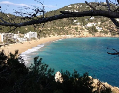 Ibiza Island Tour with...