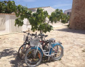 Formentera Day Trip by Ferry with Bicycle