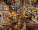 Visita La Cueva de Nerja en grupo