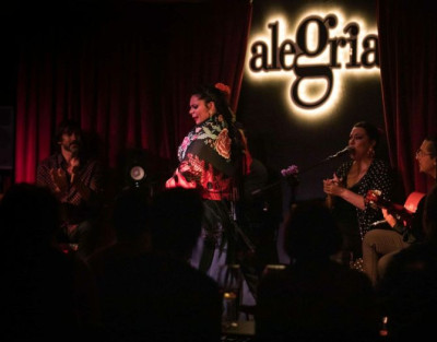 Espectáculo de Flamenco en...