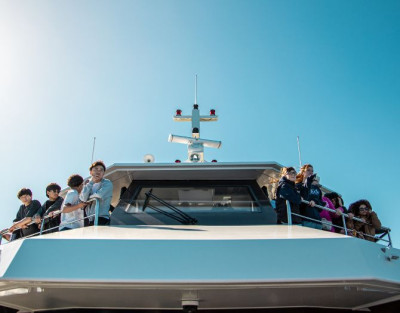 Dolphin Watching in...