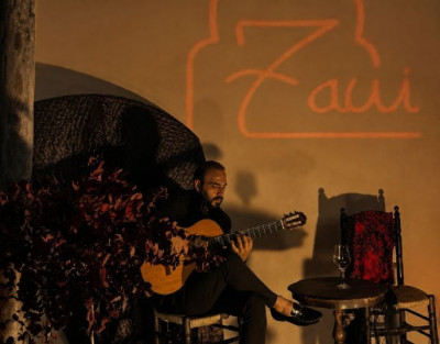 Espectáculo de Flamenco en...