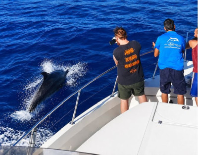Avistamiento de Delfines en...