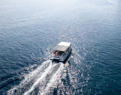Excursión en Catamarán al...