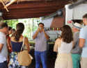 Wine and Coffee Farm Tour with Tasting in Agaete