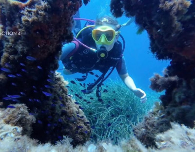 Introducción al buceo en Calpe