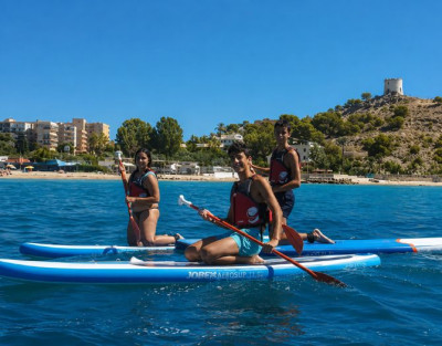 Paddle Board Rental in...