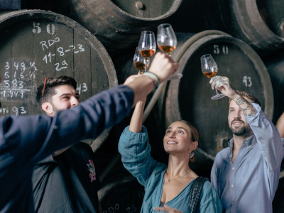 Cata de vino en Bodegas...