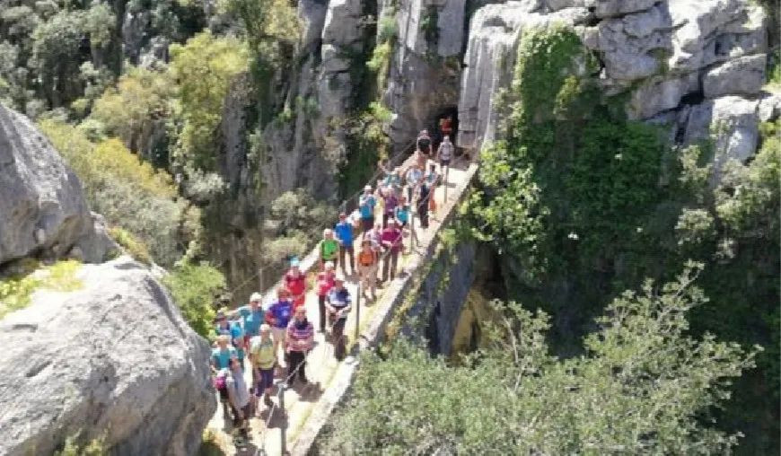 Tour Guiados